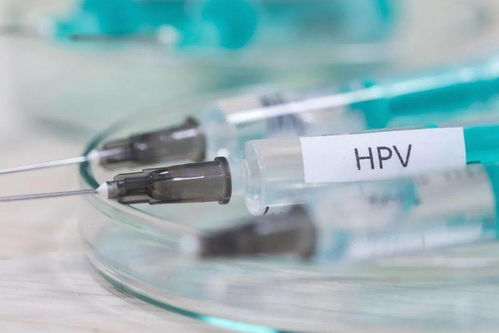 ȷŮ HPV᰸